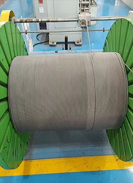 PTFE Hose Braided Detail