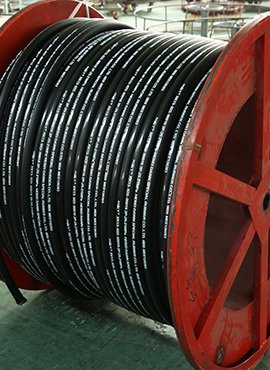 Hydraulic Hose Details