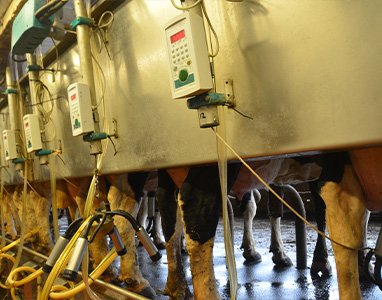 Industrial Manufacturing