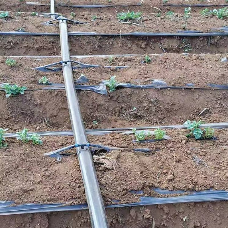 PE Layflat Hose in Agricultural Irrigation
