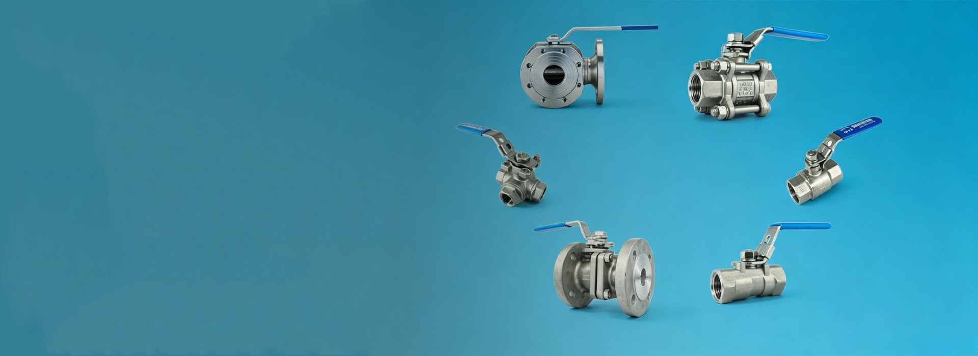 Stainless Steel Valves